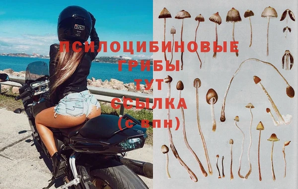 сатива Горно-Алтайск