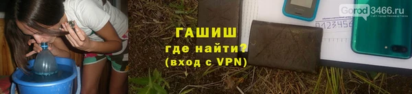 сатива Горно-Алтайск