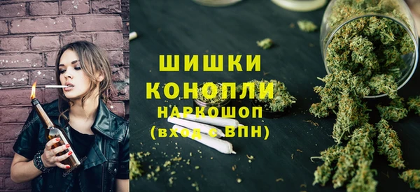 сатива Горно-Алтайск