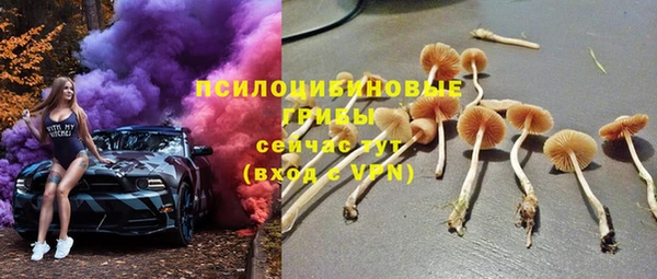 экстази Горняк