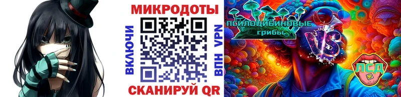Галлюциногенные грибы Cubensis  Купить закладки  Томмот 